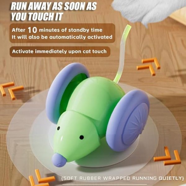 Auto-Steering Cat Toy with Silent Rollers - Bionic Mouse Chase Toy for Indoor Cats
