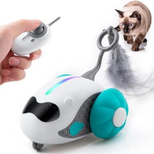 Interactive Cat Toys