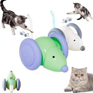Auto-Steering Cat Toy