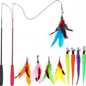 Interactive Cat Toys