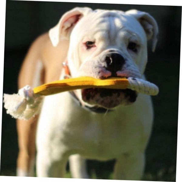 Puppy Teething Toy Set