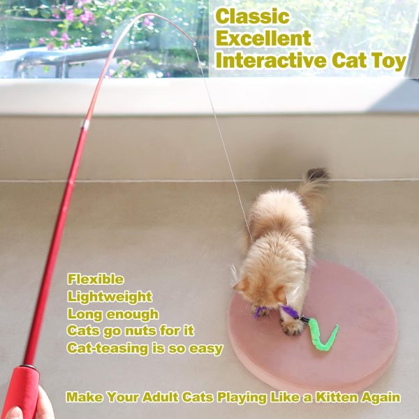 Interactive Cat Toys