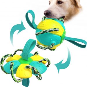 Flying Saucer Ball