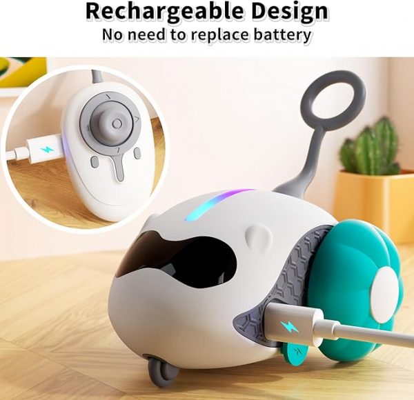 Interactive Cat Toys