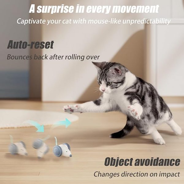 Auto-Steering Cat Toy