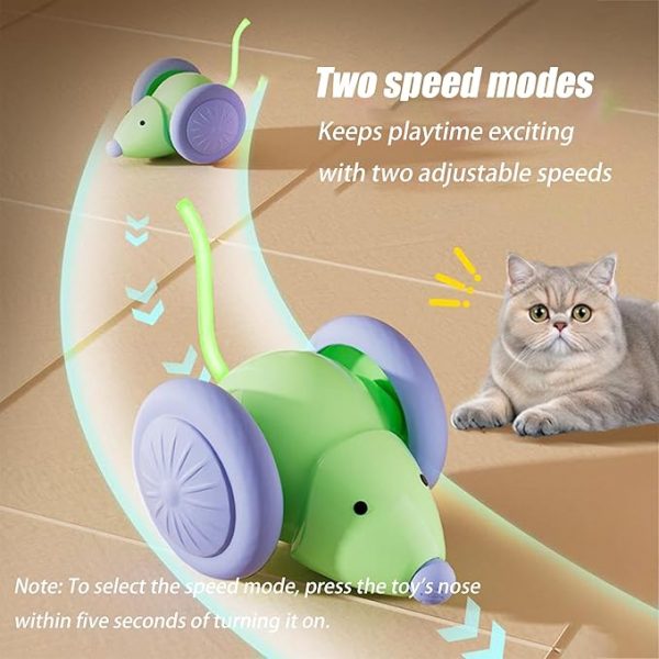 Auto-Steering Cat Toy
