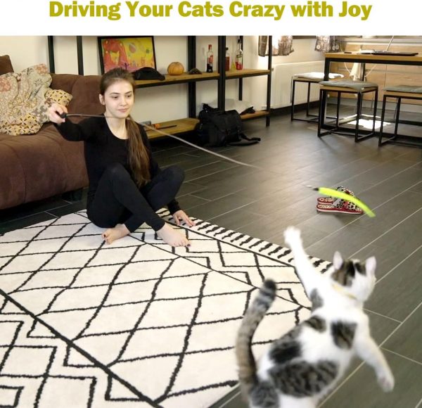Interactive Cat Toys - Retractable Wand Toy and Feather Toys Refills for Indoor Cats to Chase and Exercise - Image 4