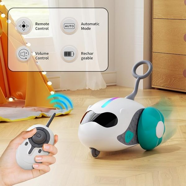 Interactive Cat Toys