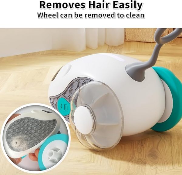 Interactive Cat Toys