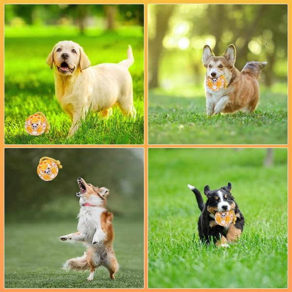 Squeaky Dog Ball