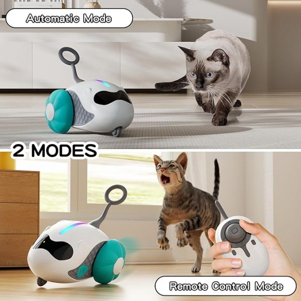 Interactive Cat Toys