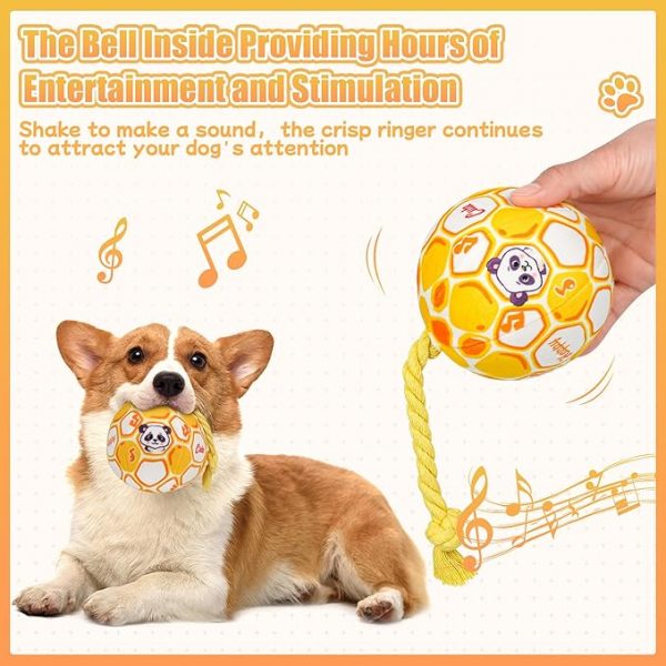 Squeaky Dog Ball