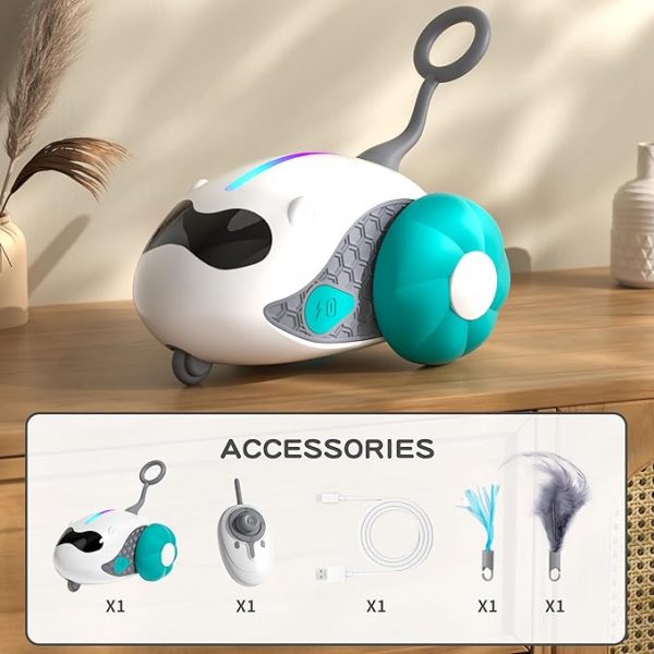 Interactive Cat Toys