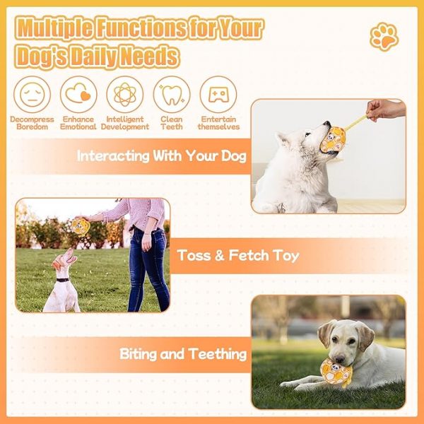 Squeaky Dog Ball