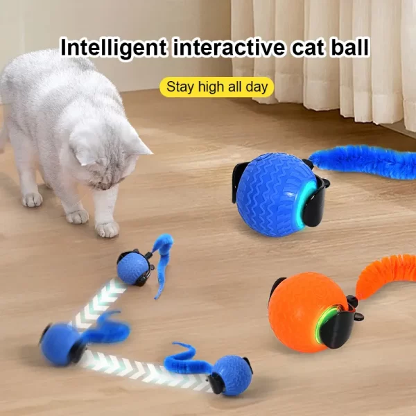 Speedy Tail Cat Toy