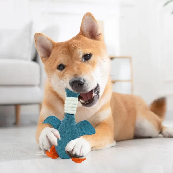 pettoys