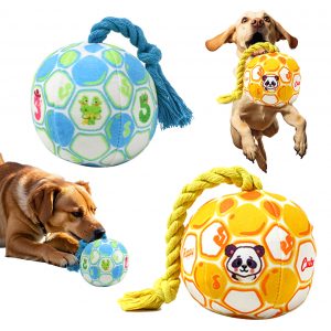 Squeaky Dog Ball